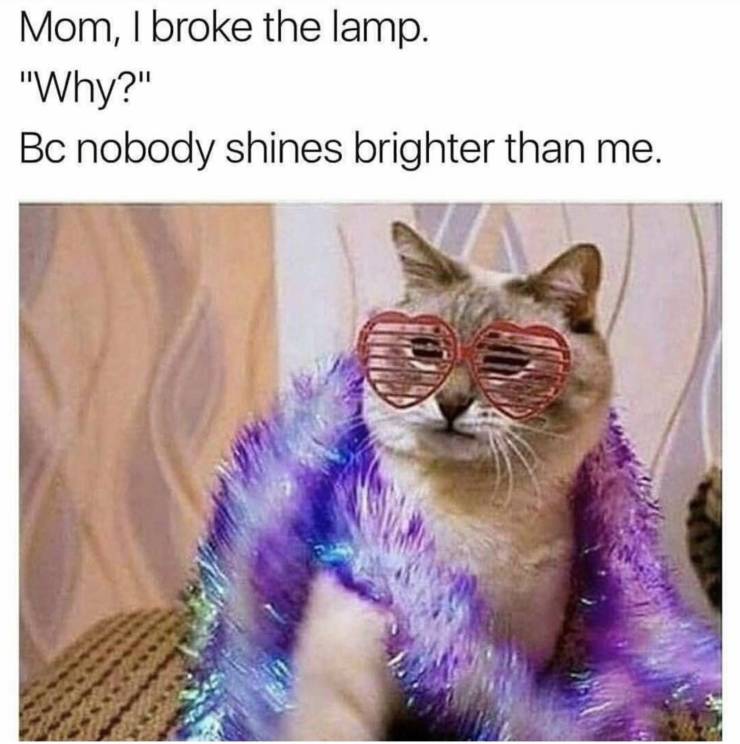 Funny Picdump