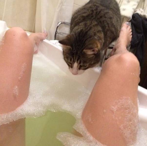 Content Image