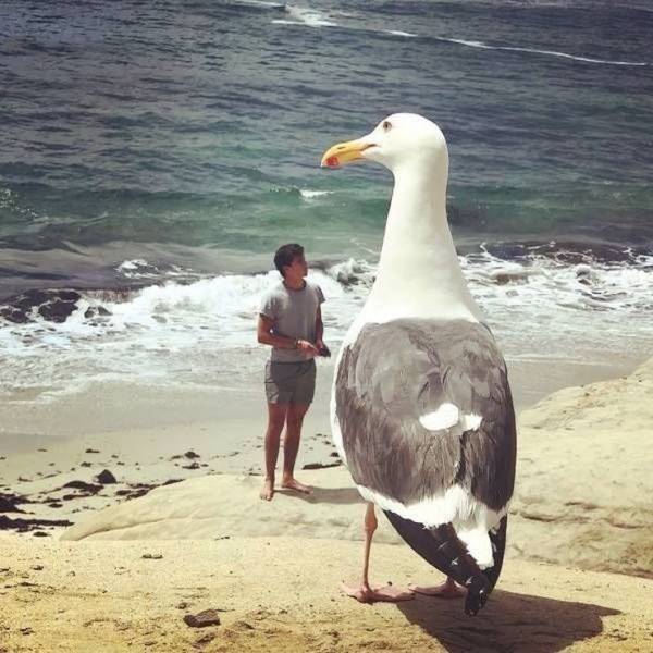 Daily Picdump