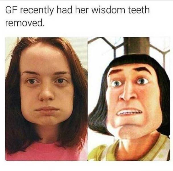 Funny Picdump