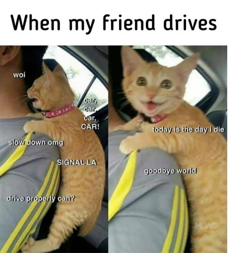 Funny Picdump