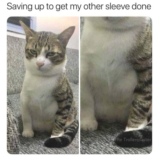Content Image
