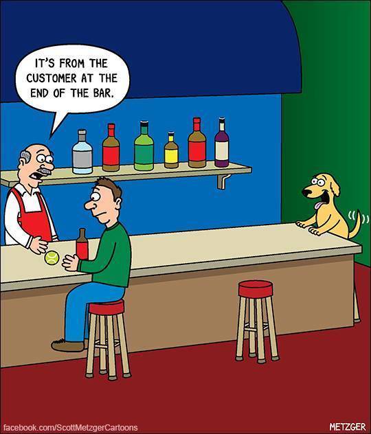Funny Picdump