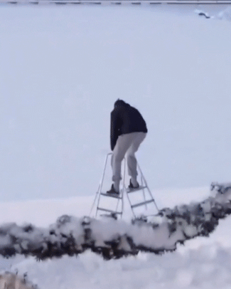 This Is Just Awesome