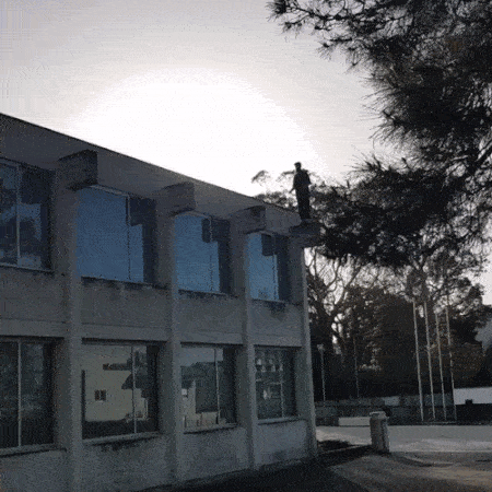 This Is Just Awesome