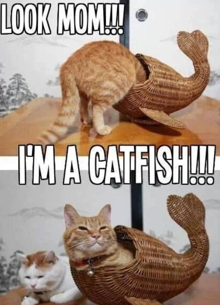 Funny Picdump
