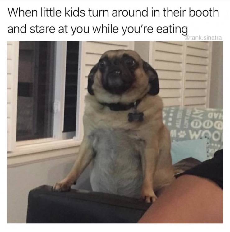 Funny Picdump