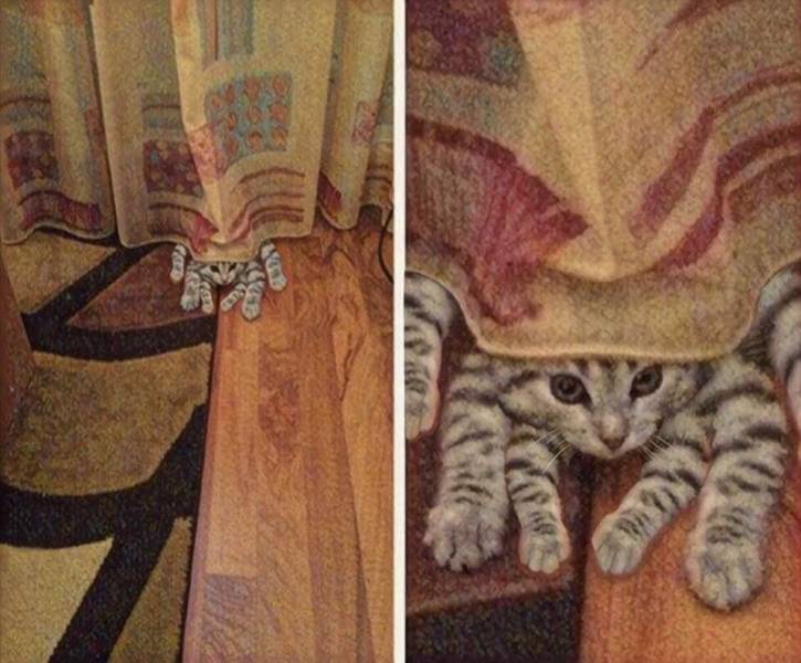 Content Image
