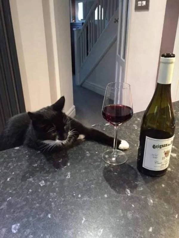 Absolutely 100% Wasted