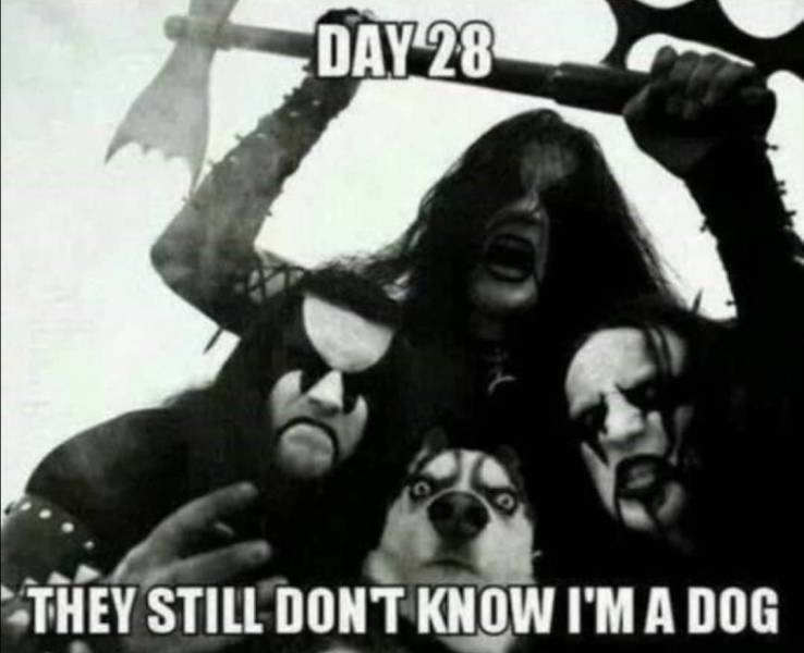 Funny Picdump