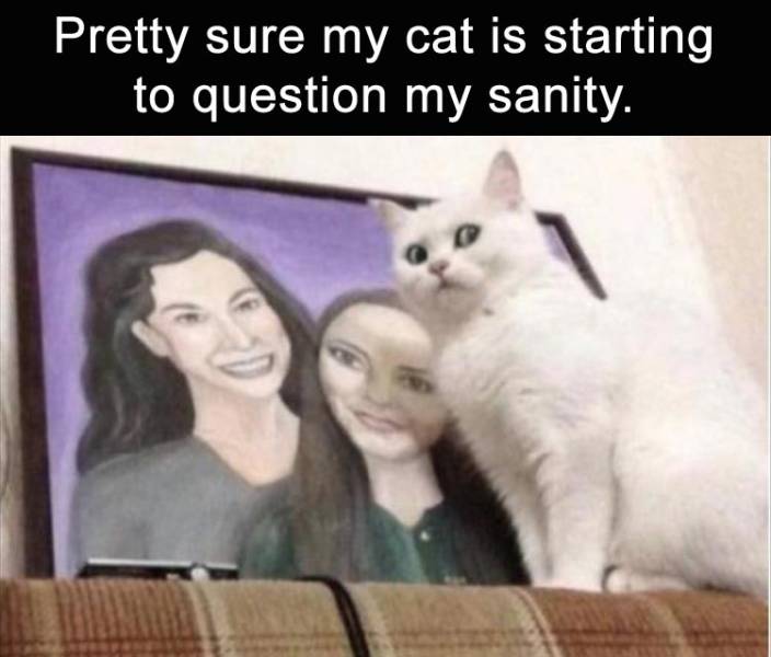 Content Image