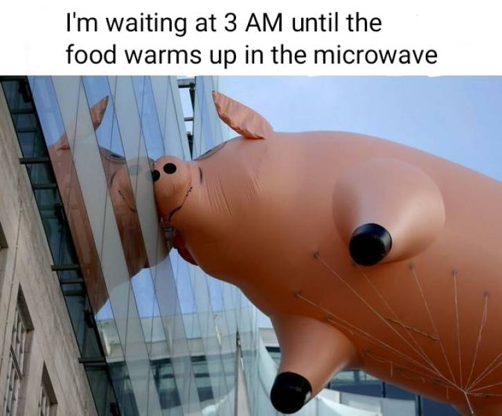 Content Image