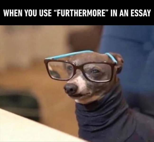 Content Image