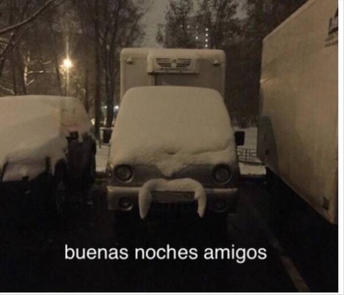 Content Image