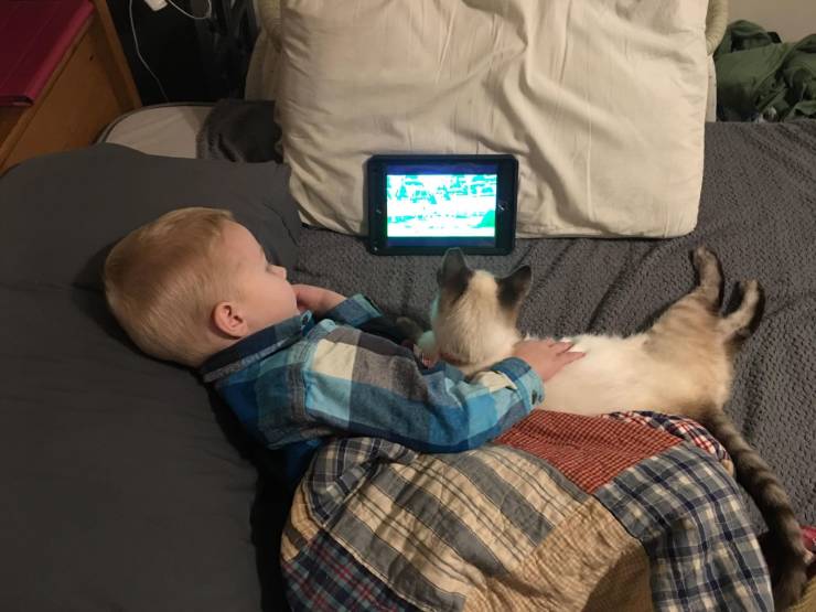 Content Image