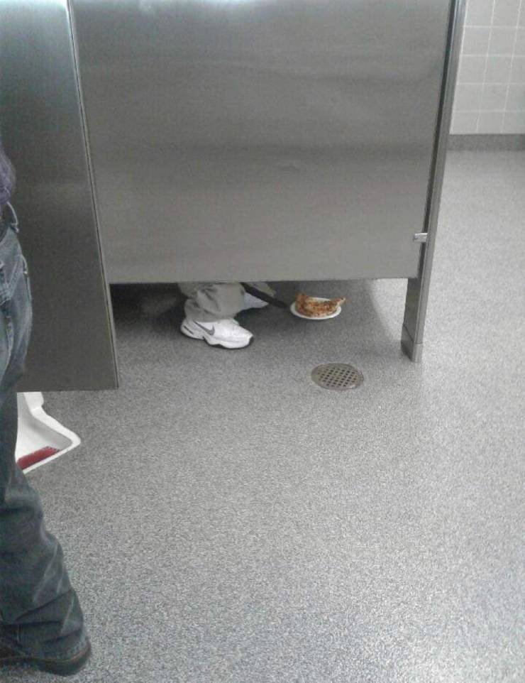 Content Image