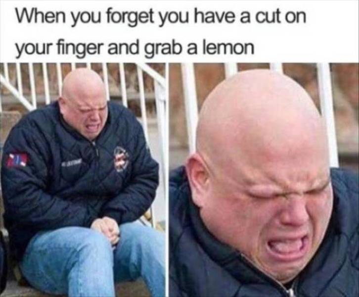 Content Image