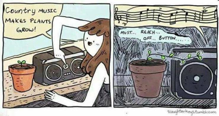 Content Image