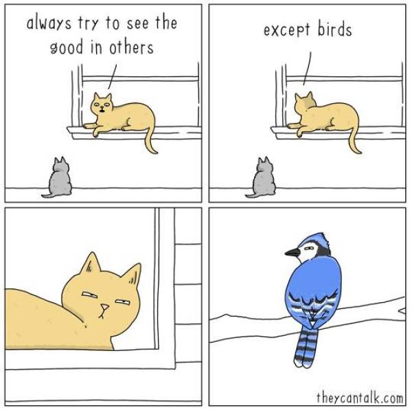 Content Image