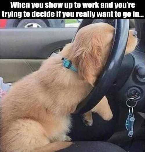 Funny Picdump