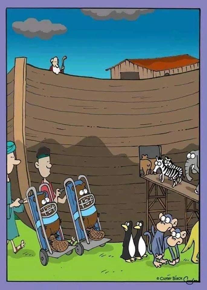 Funny Picdump