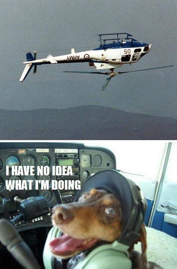 Funny Picdump
