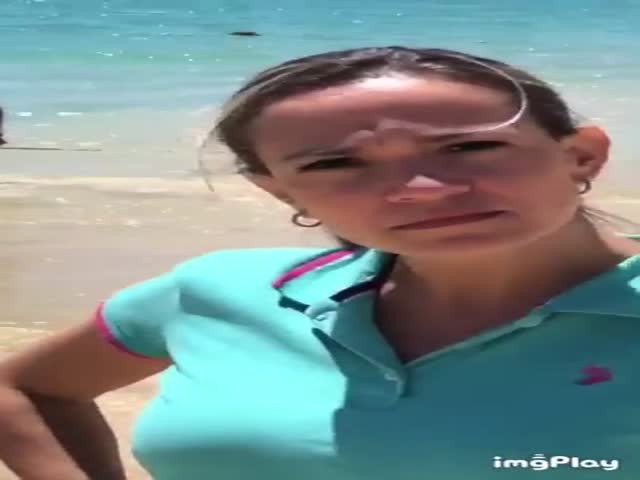 Content Image