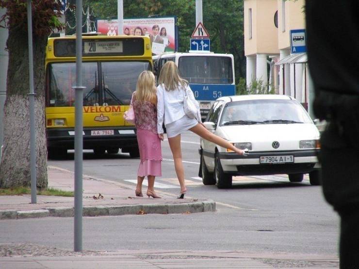 Daily Picdump