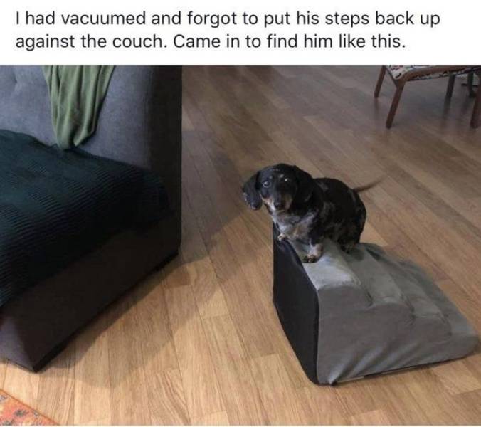 Content Image
