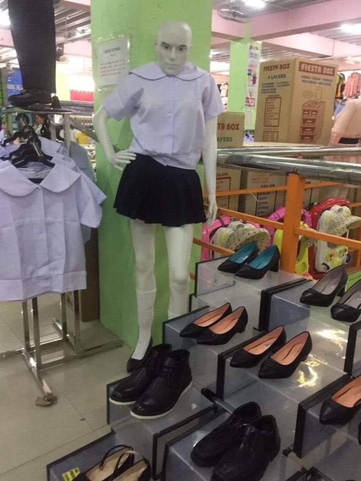 Daily Picdump
