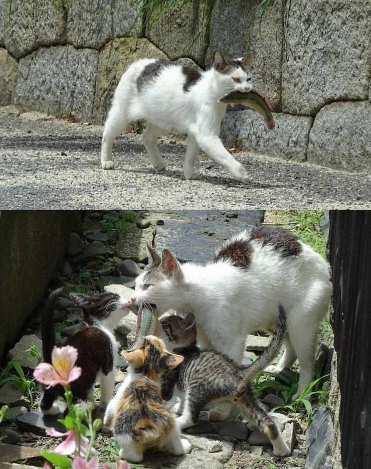 Daily Picdump