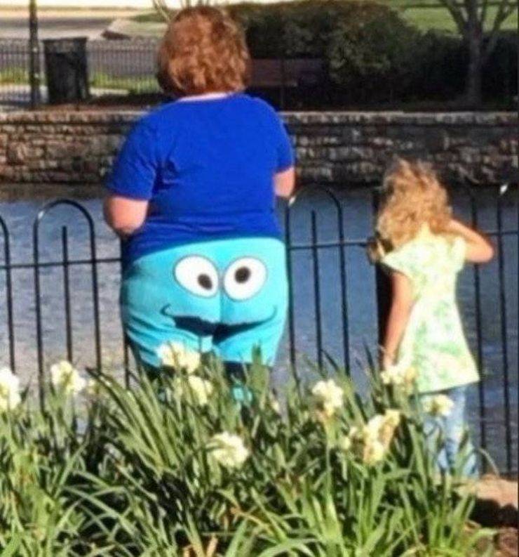 Daily Picdump
