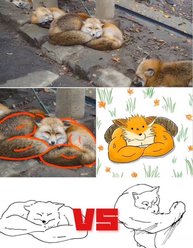 Content Image