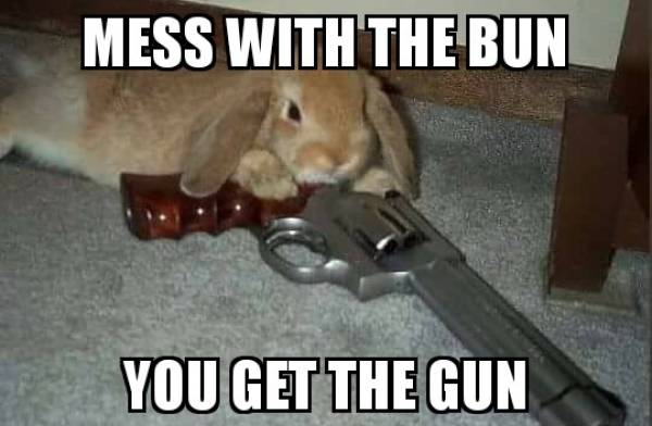Funny Picdump