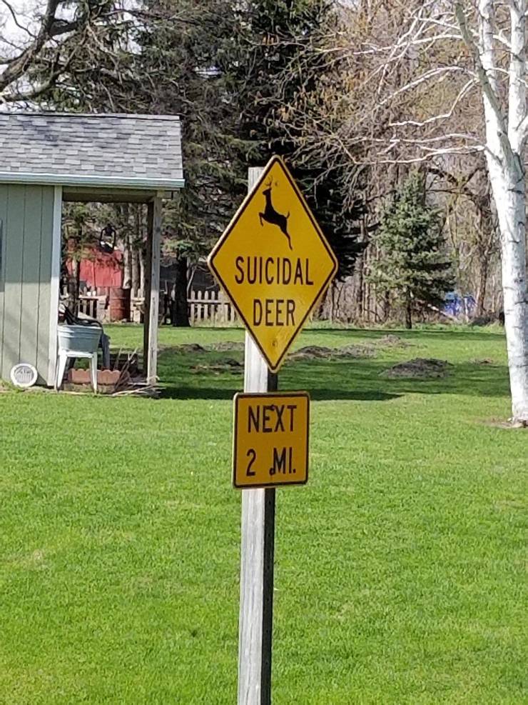 Content Image