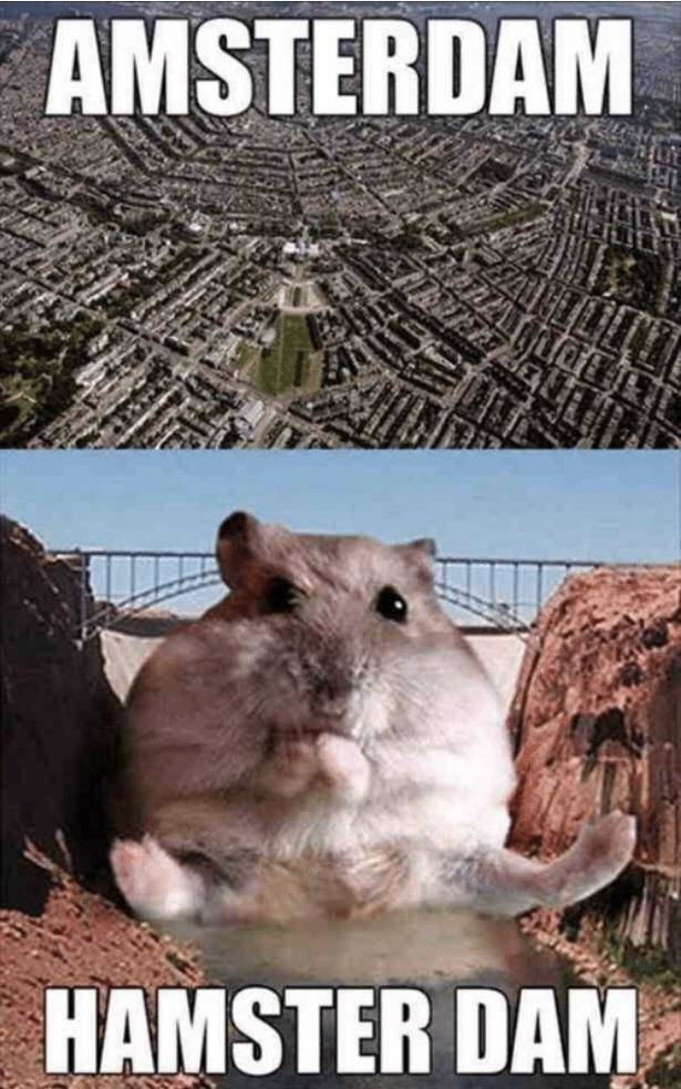 Content Image