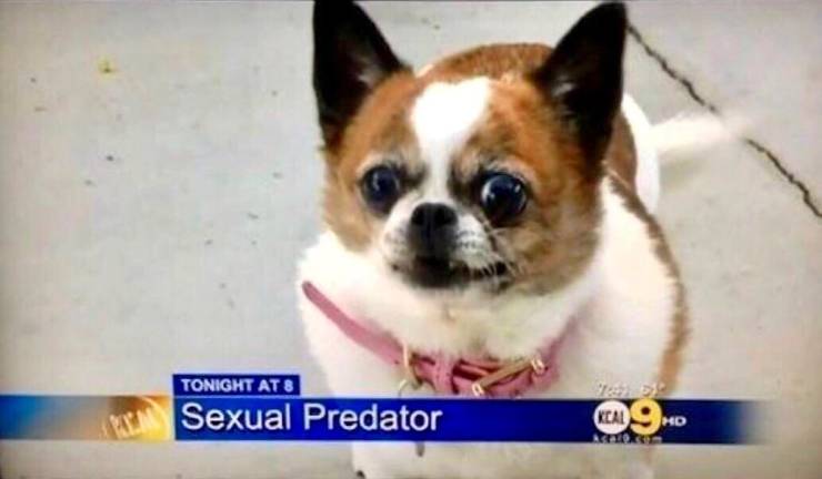 Funny Picdump