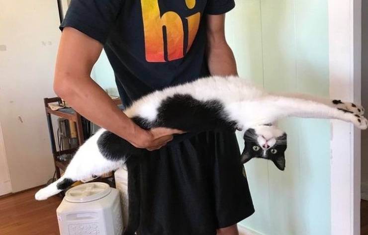 Content Image