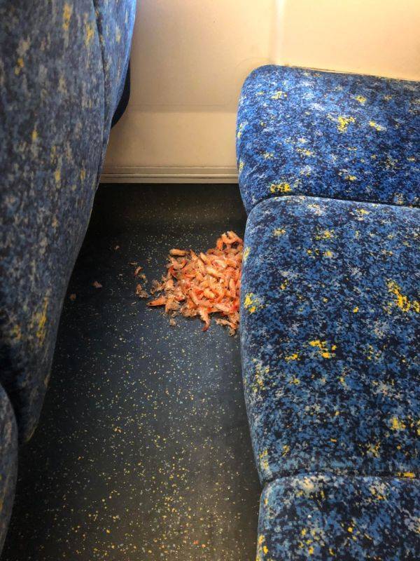 Trash… Trash Everywhere