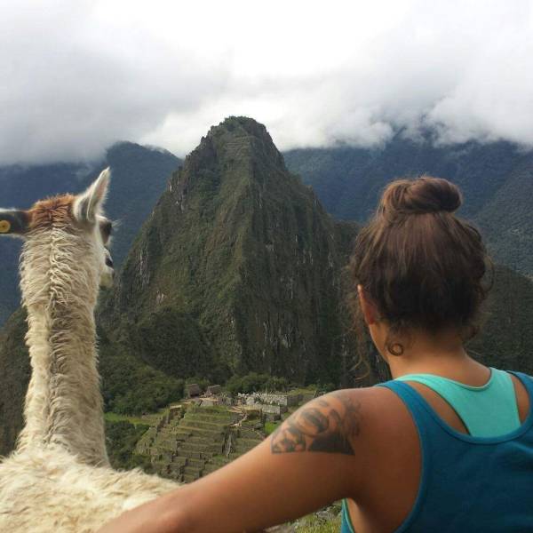 Daily Picdump