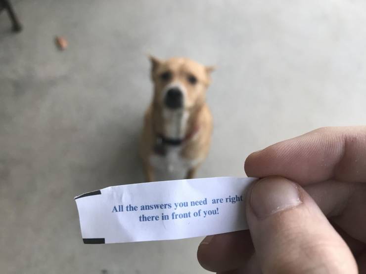 Content Image