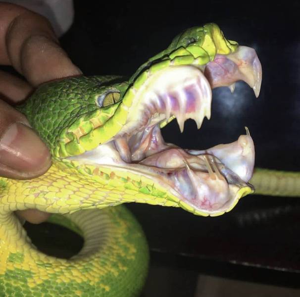 Content Image
