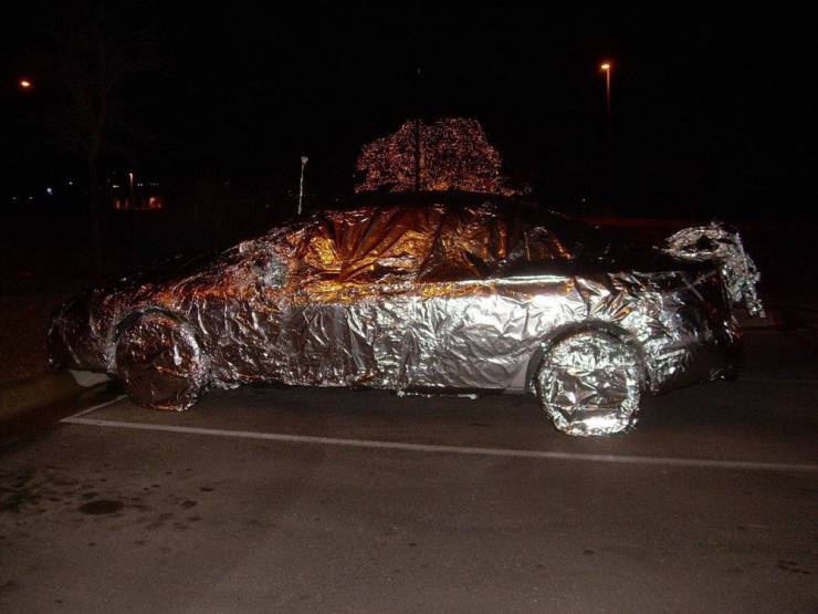Daily Picdump