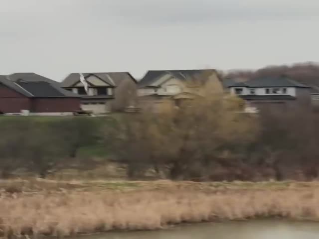 Weaklings Do Not Survive In The Wild