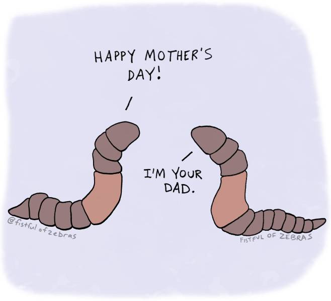 Funny Picdump