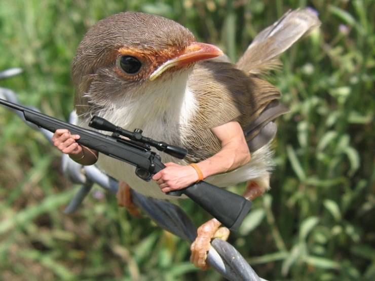 Funny Picdump