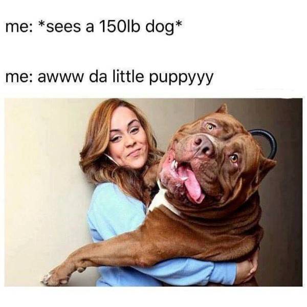 Funny Picdump