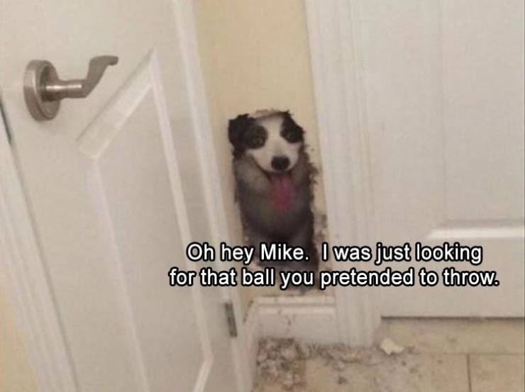 Content Image