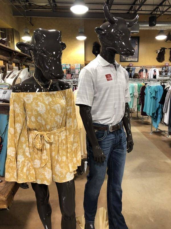 Funny Picdump