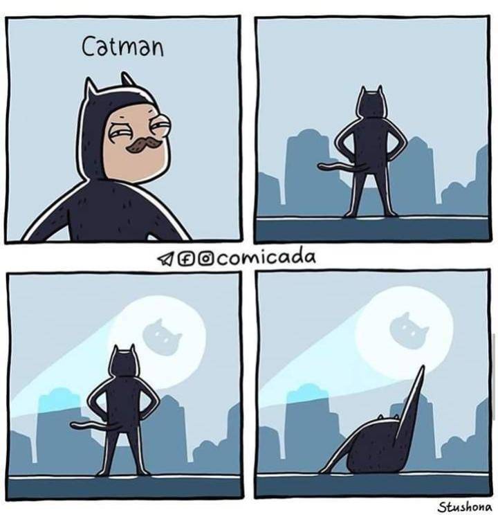 Content Image